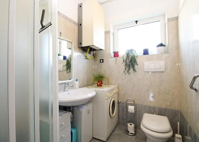 Ljiljana 2348 פולה